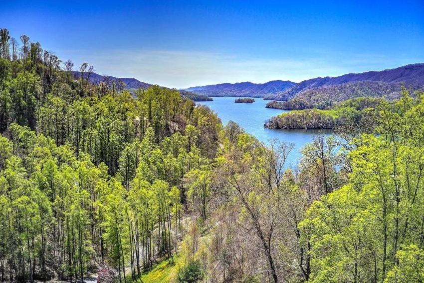 Iron Mountain Lodge - Beautiful Cabin With Forest & Mountain Views! Butler Exterior foto